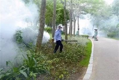 防蚊灭蚊,预防登革热,大家齐参与